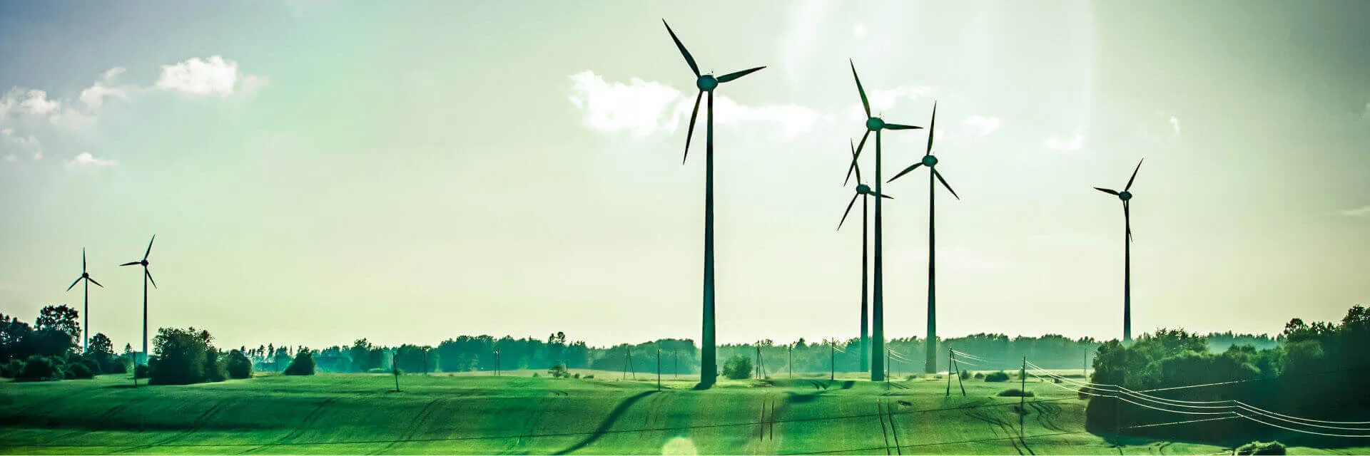 Enerji ve Doğal Kaynaklar